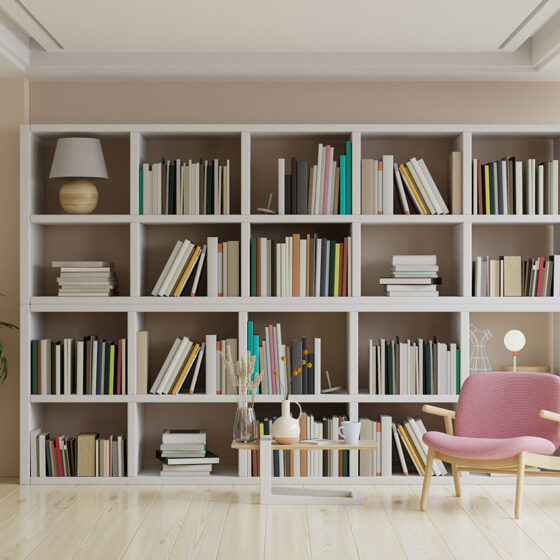 Bookshelves1